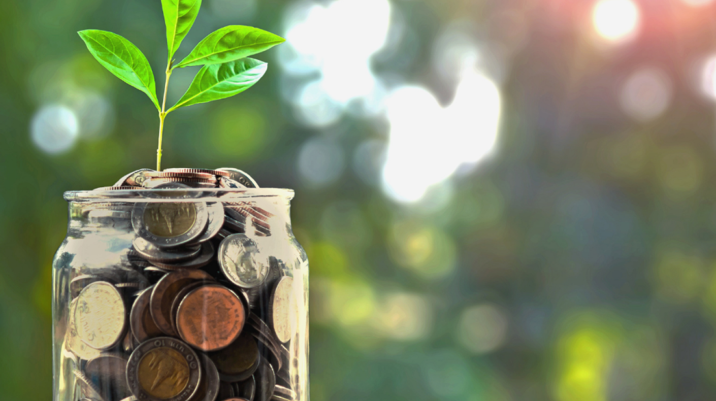 A jar of coins with a plant shoot coming from the top
