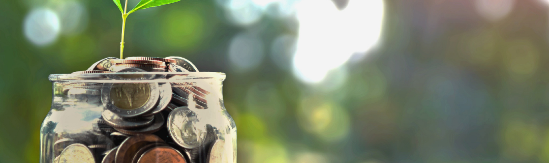A jar of coins with a plant shoot coming from the top