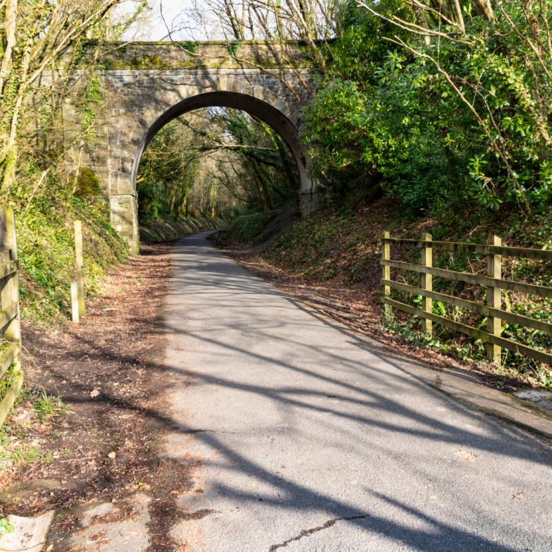 A tarmacked cycle path with fences and trees on each side and an old railway tunnel in the distance