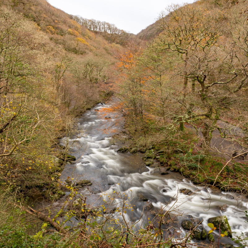 A river winding through autumn trees